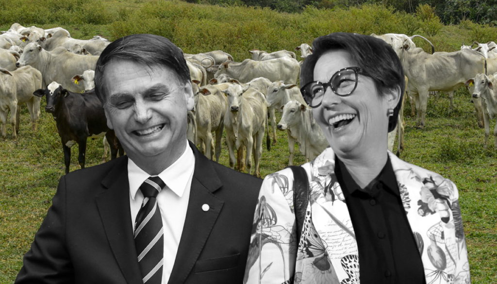 tereza cristina jair bolsonaro