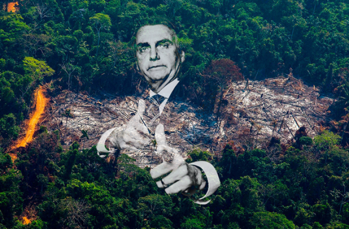 bolsonaro amazonia