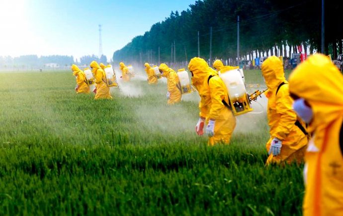 agrotoxicos-3-690x436