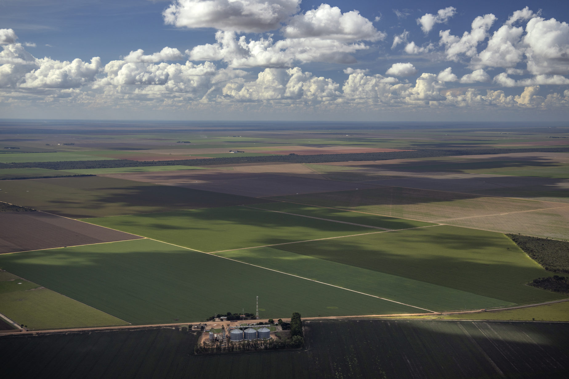 Soya Production in the Cerrado Region, Brazil Cerrado Brasileiro e Produção de Soja