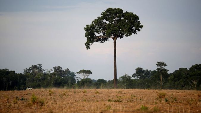 The Wider Image: Brazil's Amazon guardians