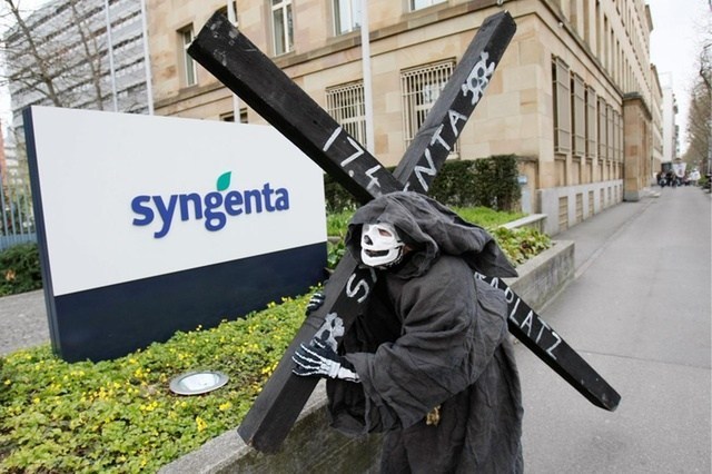 syngenta