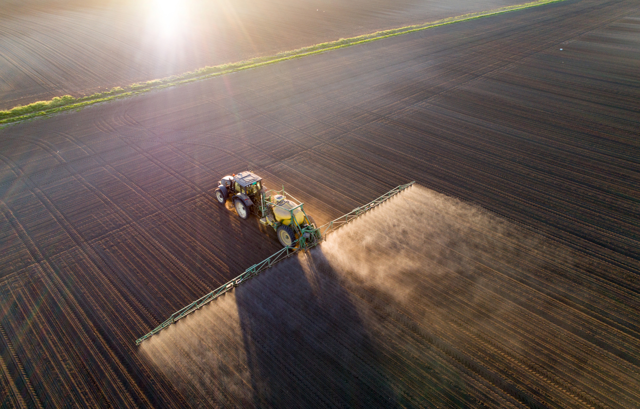 Tractor spraying young crops in field