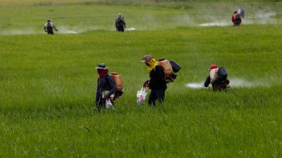 CircleofPoison_img1-400x225