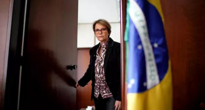 Tereza Cristina madame desmatamento