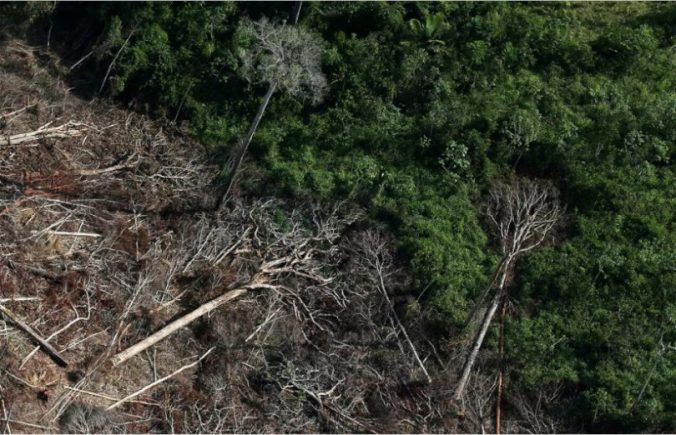 União-Europeia-desmatamento-810x522