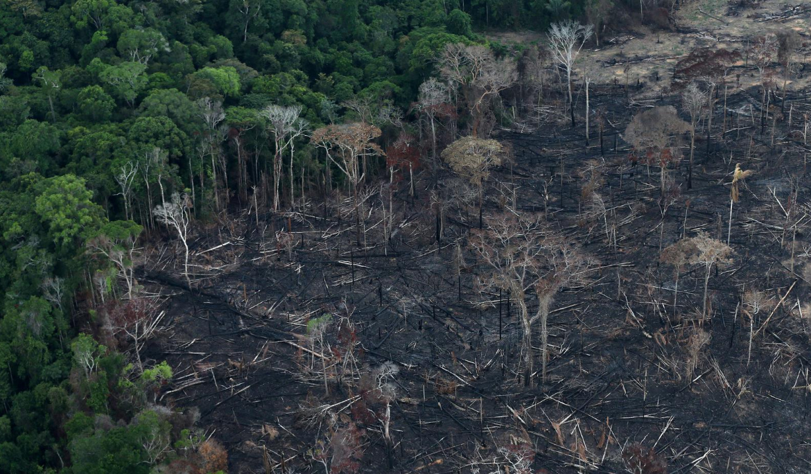 amazon deforestation