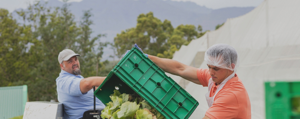 banner-desperdicio-alimentos