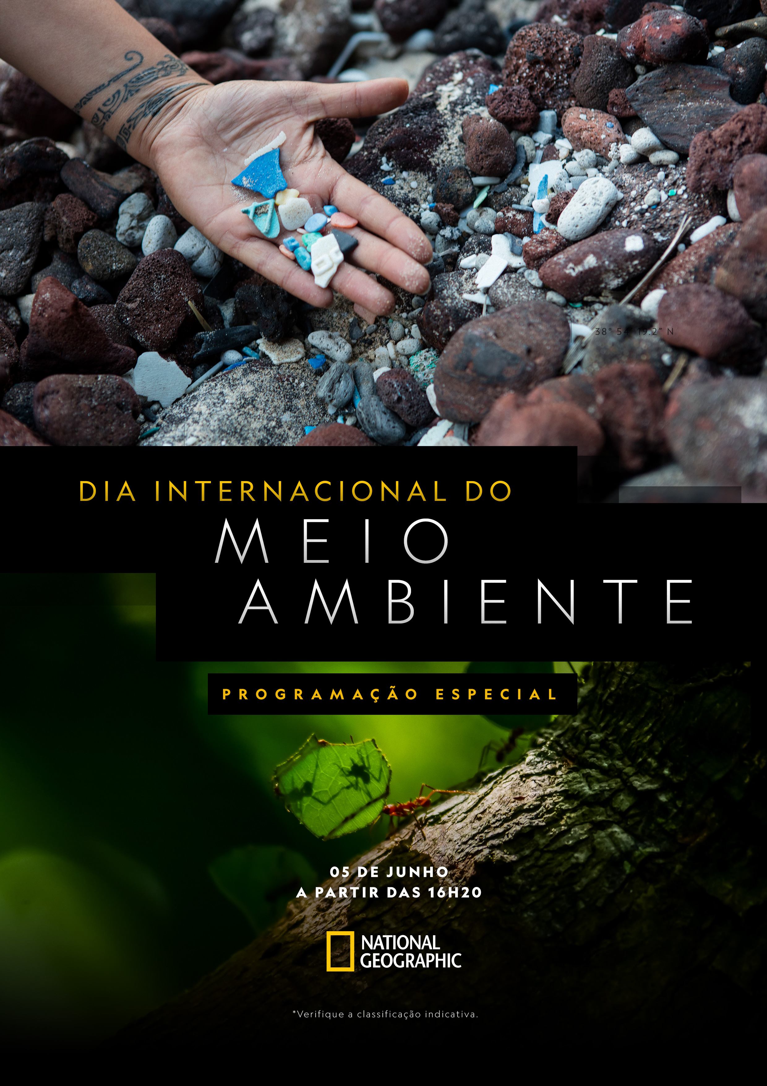 DIA-MEDIO-AMBIENTE-VERT_bra