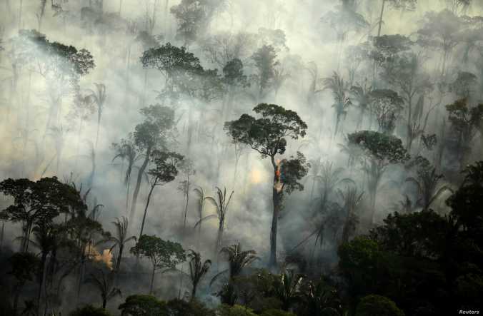Smoke billows during a fire in an area of the Amazon rainforest near Porto Velho