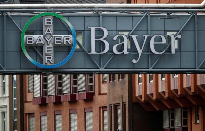 bayer 1