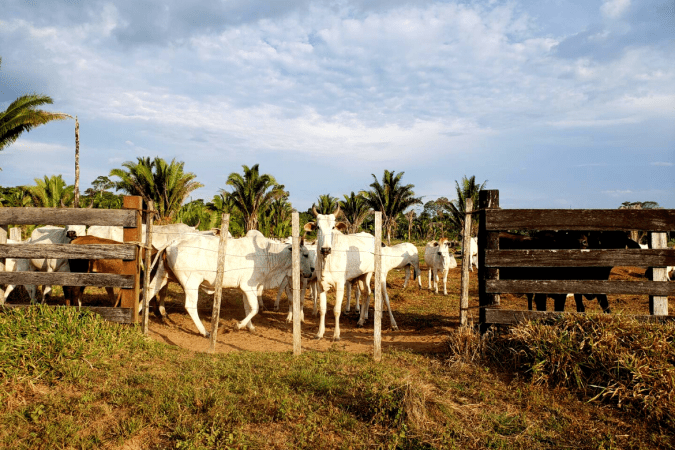 capa-do-relatorio-substituir