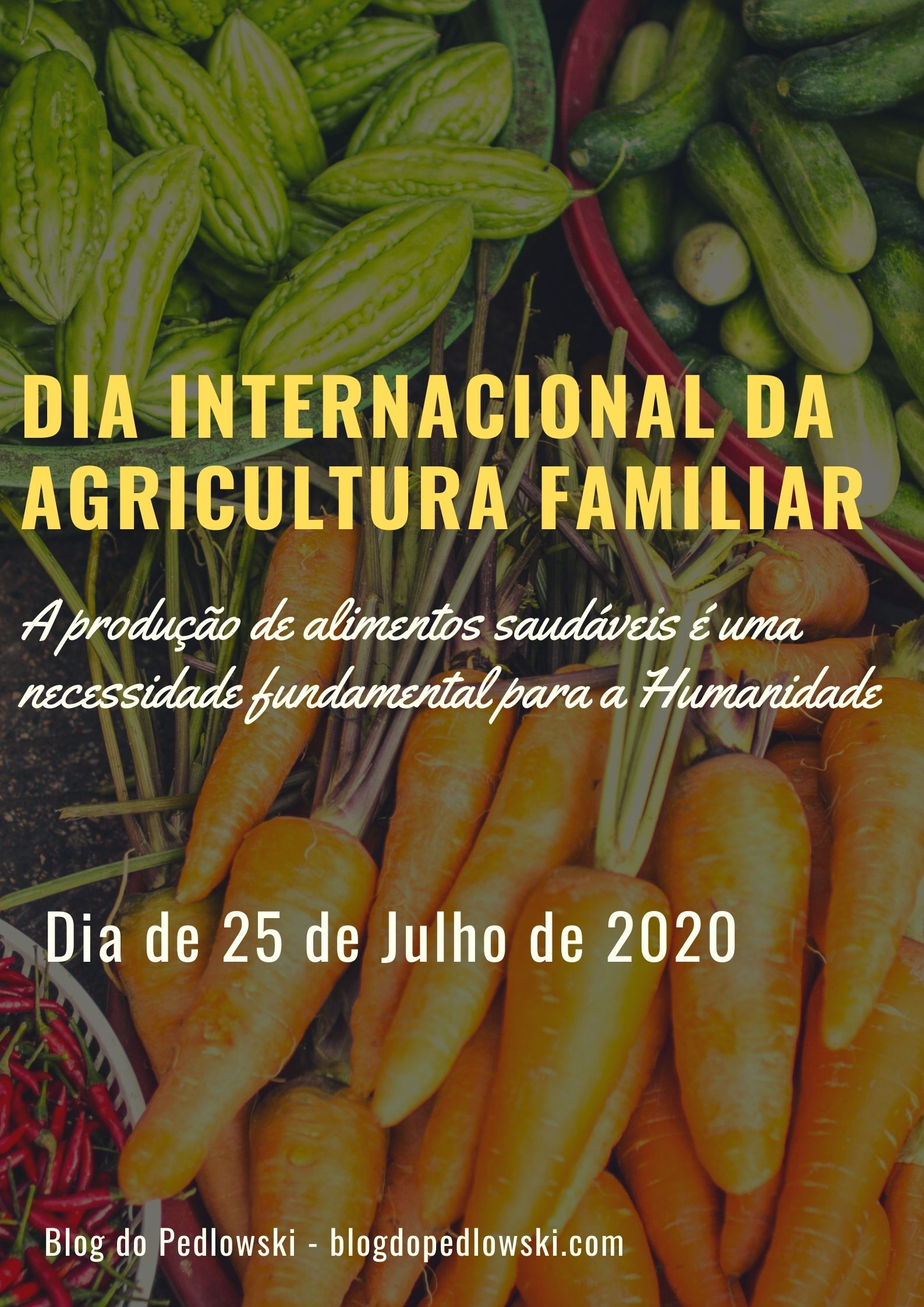DIA INTERNACIONAL DA AGRICULTURA FAMILIAR