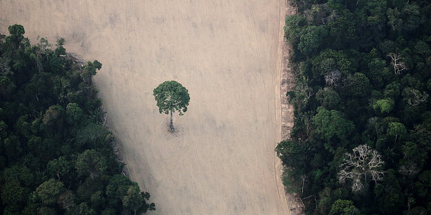 FILE PHOTO: An aerial view shows a deforested plot of the Amazon near Porto Velho