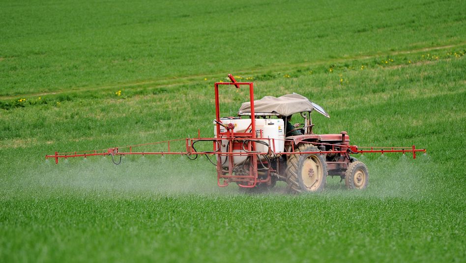 Bauern freuen sich über Wetter