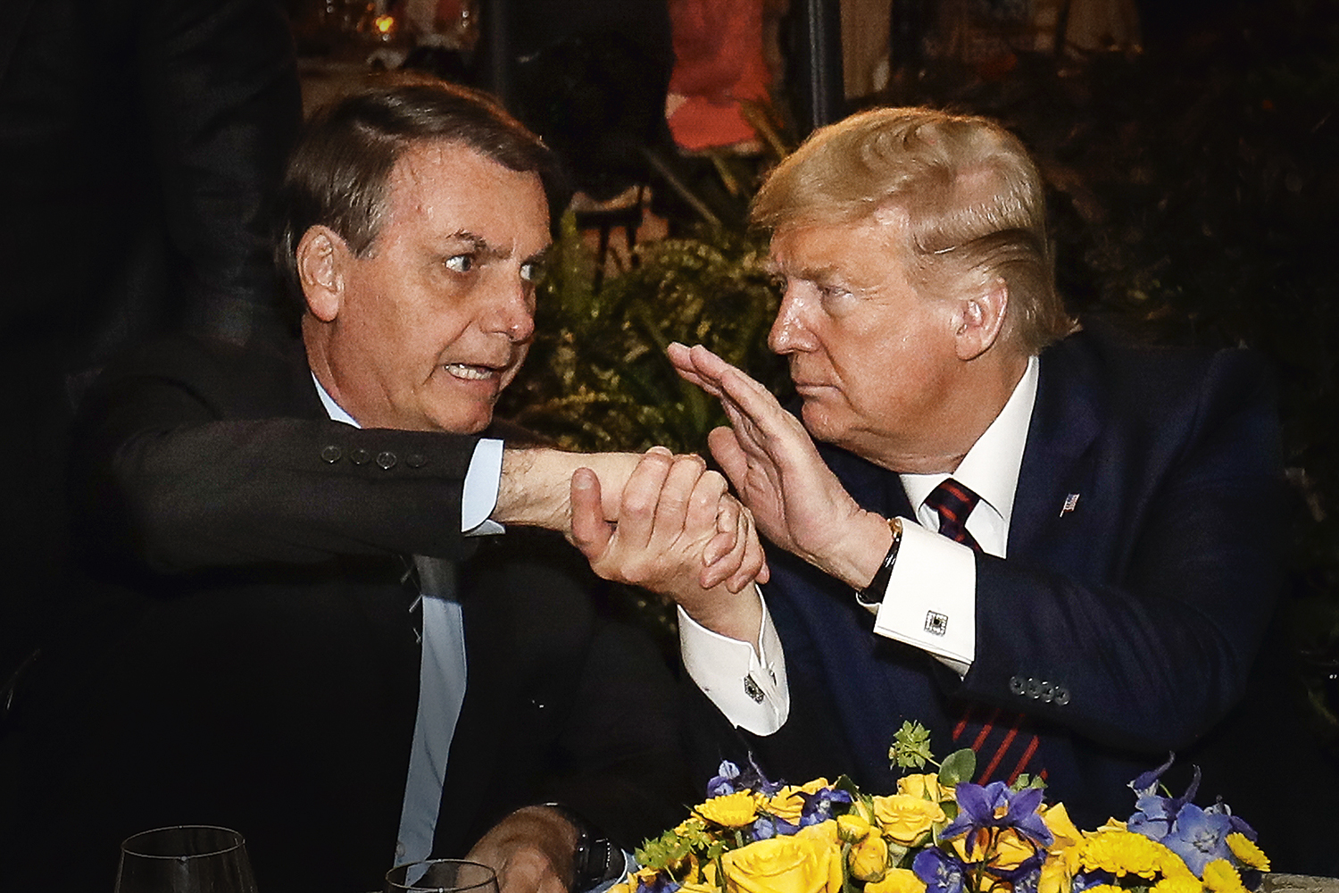 trump bolsonaro