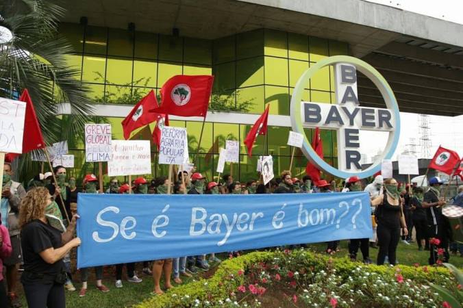 bayer-mst-02