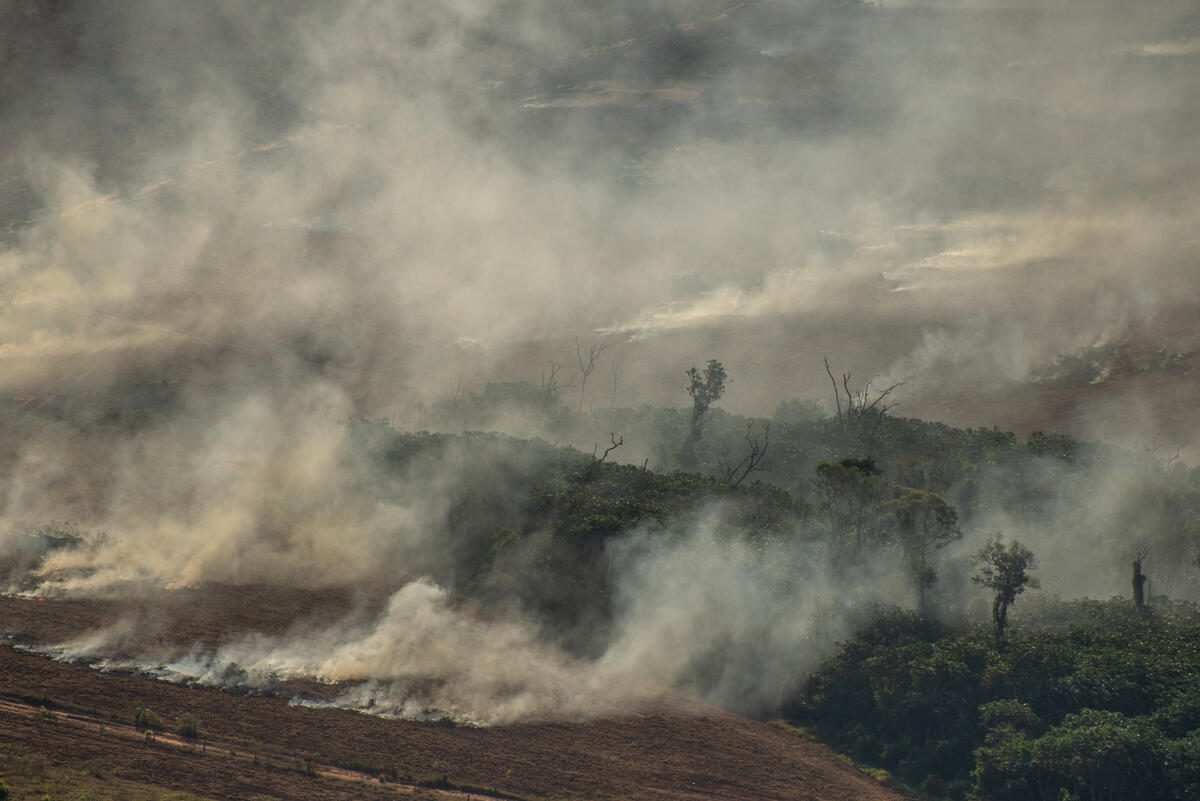 Deforestation and Fire Monitoring in the Amazon in July, 2020
Monitoramento de Desmatamento e Queimadas na Amazônia em Julho de 2020