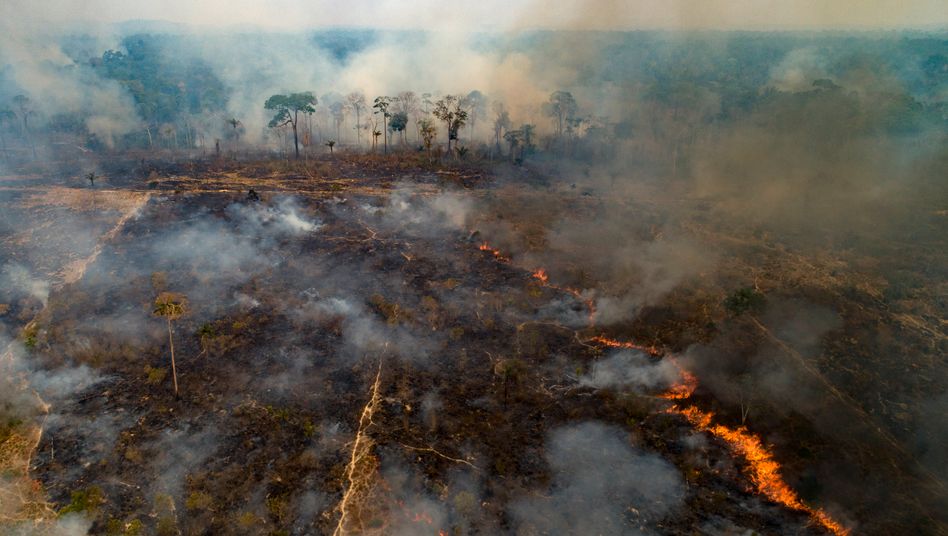 Brände im Amazonas-Gebiet in Brasilien