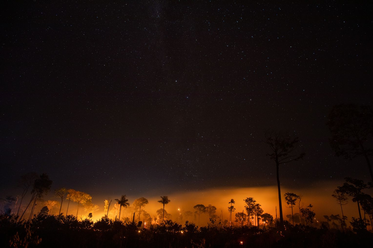Soy Investigation in Brazil