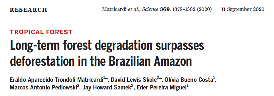 matricardi et el 2020