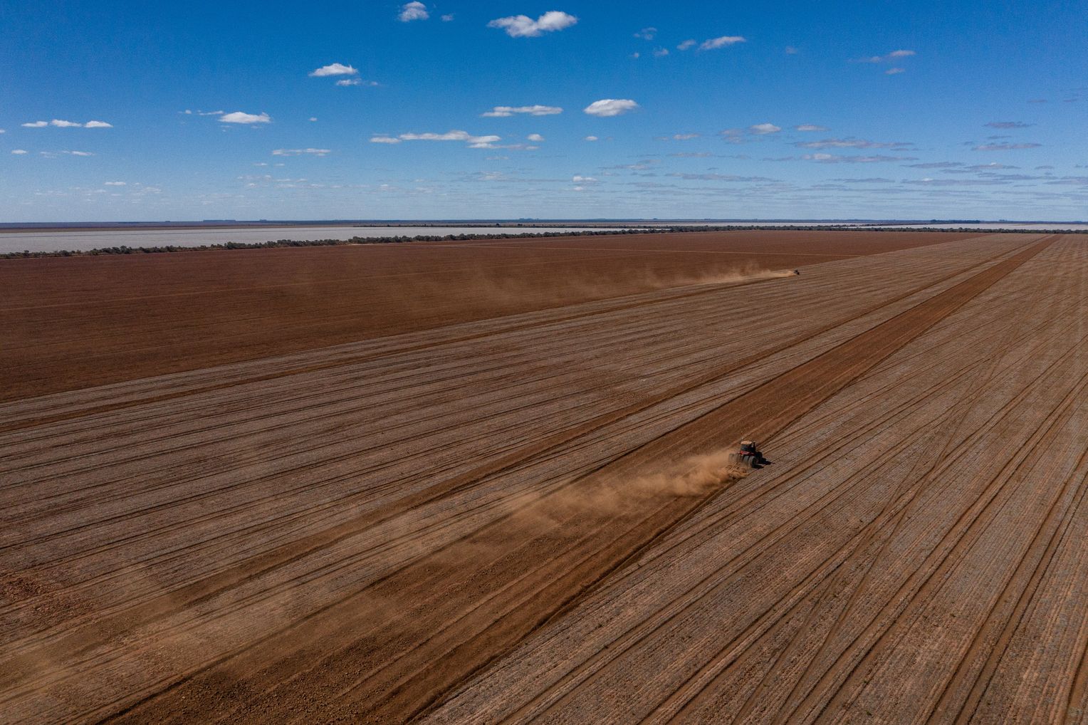 Soy Investigation in Brazil