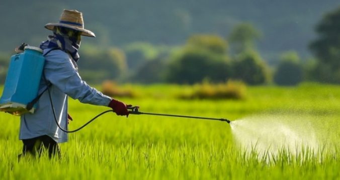 agrotoxicos 1