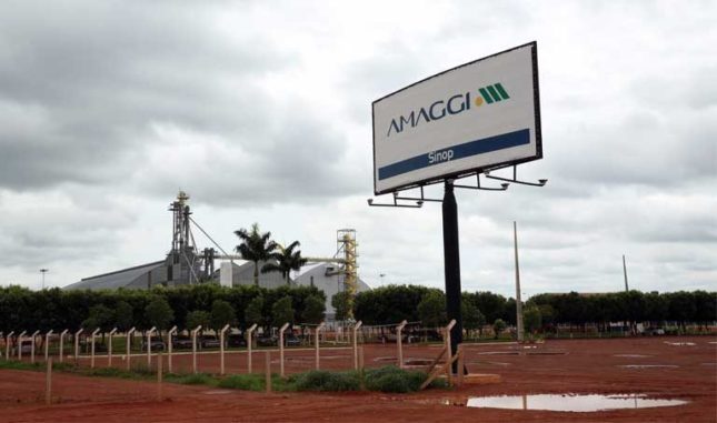 amaggi