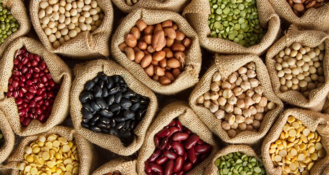 Sementes-de-feijão-750x400