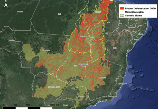 cerrado desmatamento