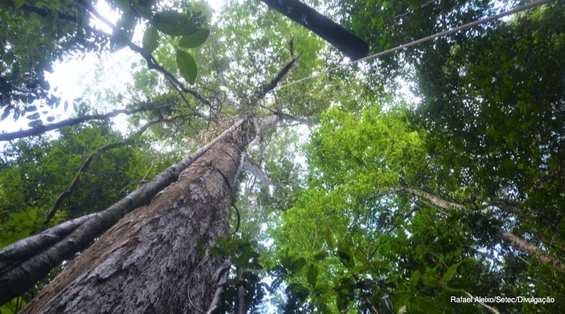 conversas-entre-Brasil-e-EUA