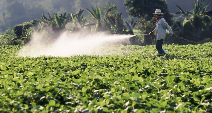 pesticides overuse