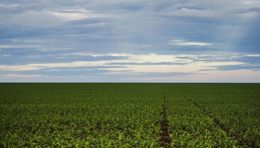 agricultura-deforestacion1-996x567