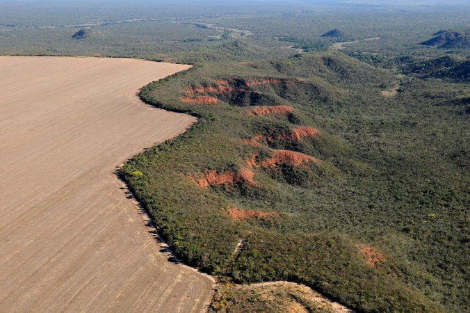 cerrado-desmatamento-ciclovivo