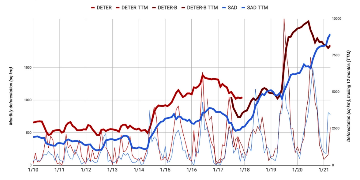desmatamento amazonia