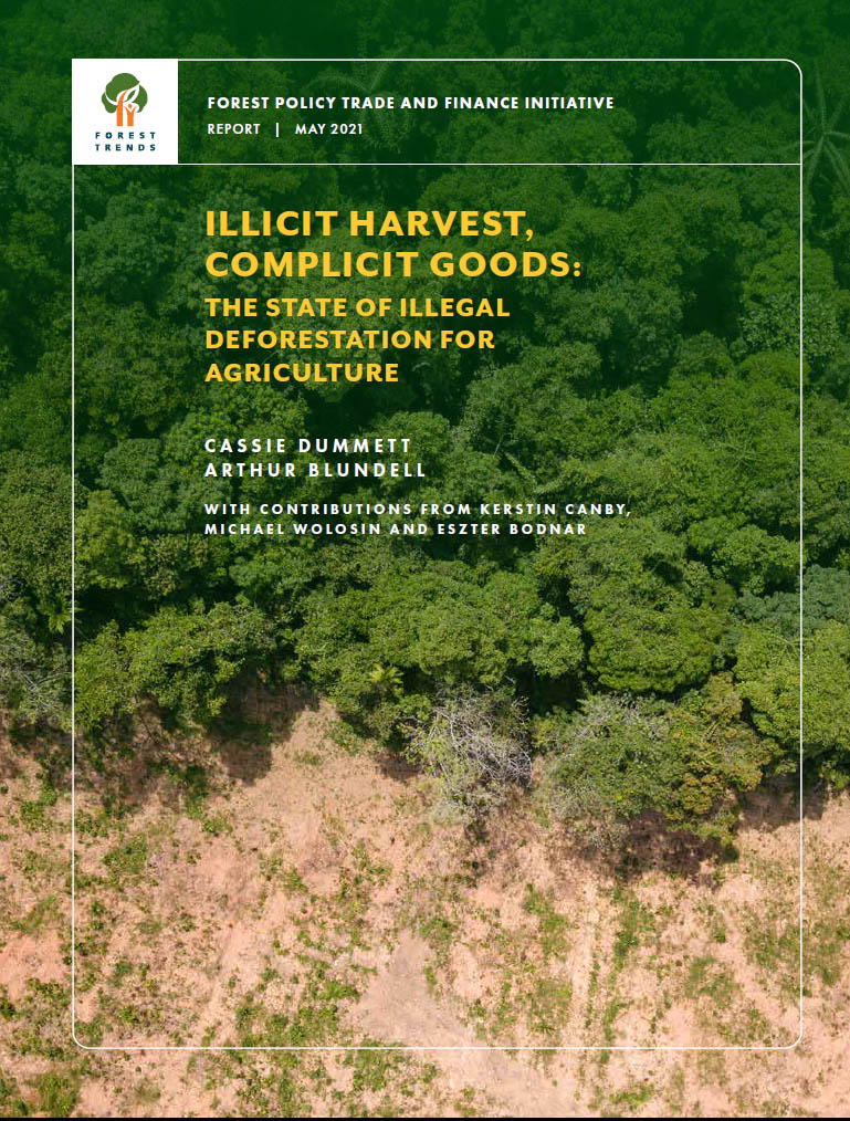 forest loss