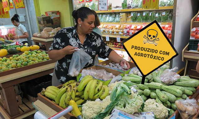 Agrotóxicos-e-câncer