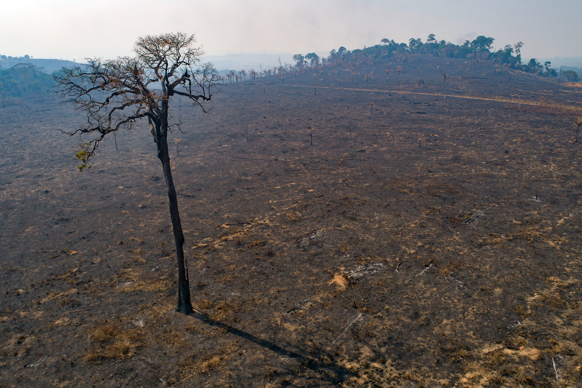 Brazil Amazon Fires