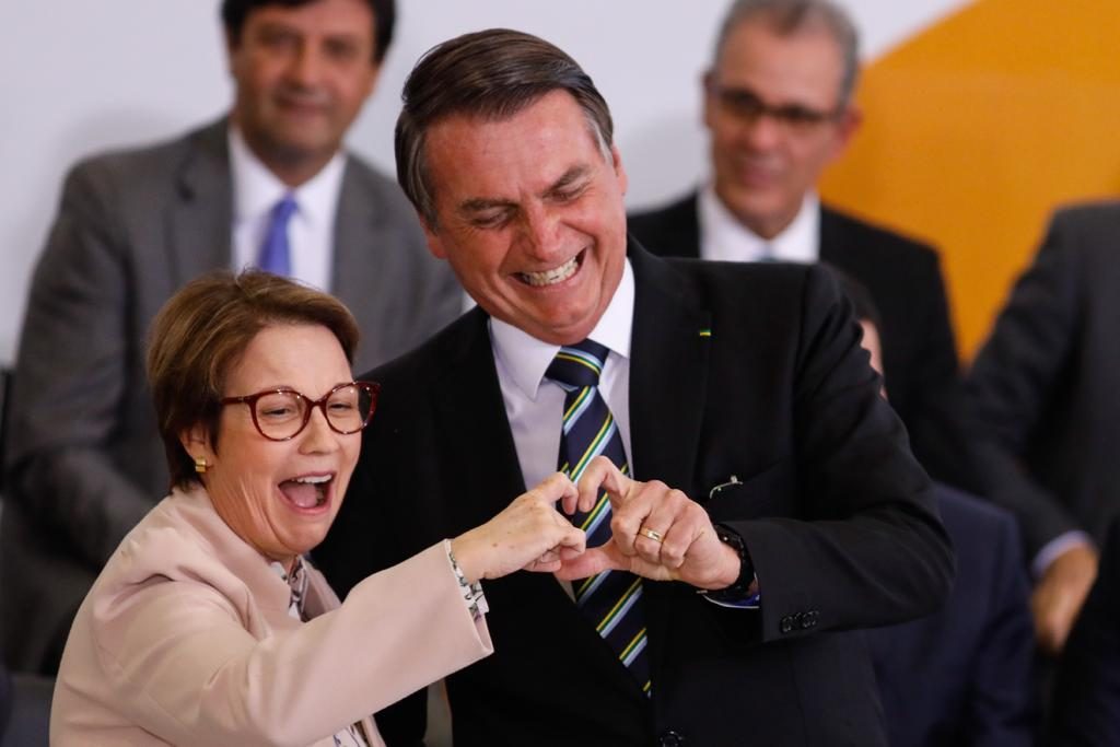 teresa cristina