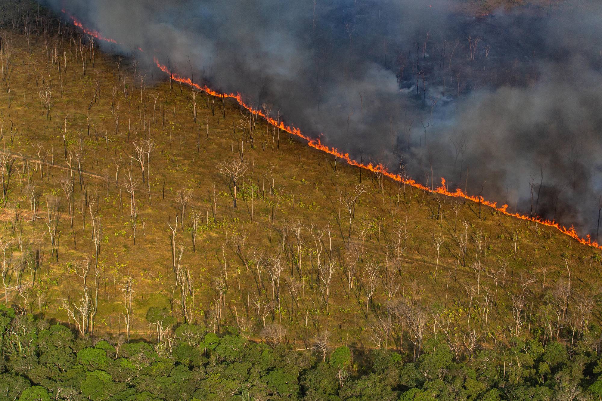 A stretch of the Amazon rainforest is deliberately burned for cattle pasture in Brazil's Rodonia State, Sept. 8, 2019. (Victor Moriyama/The New York Times)