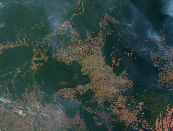 destruição amazonia