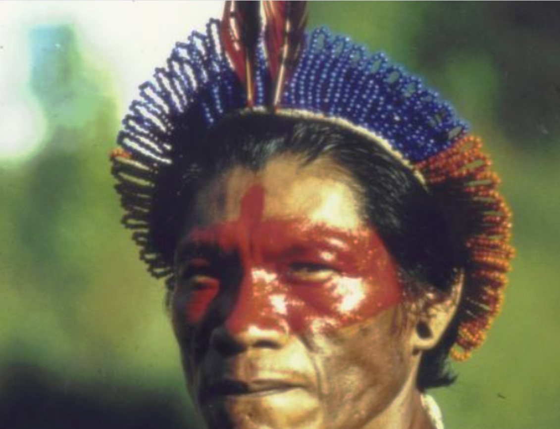 kayapo posey