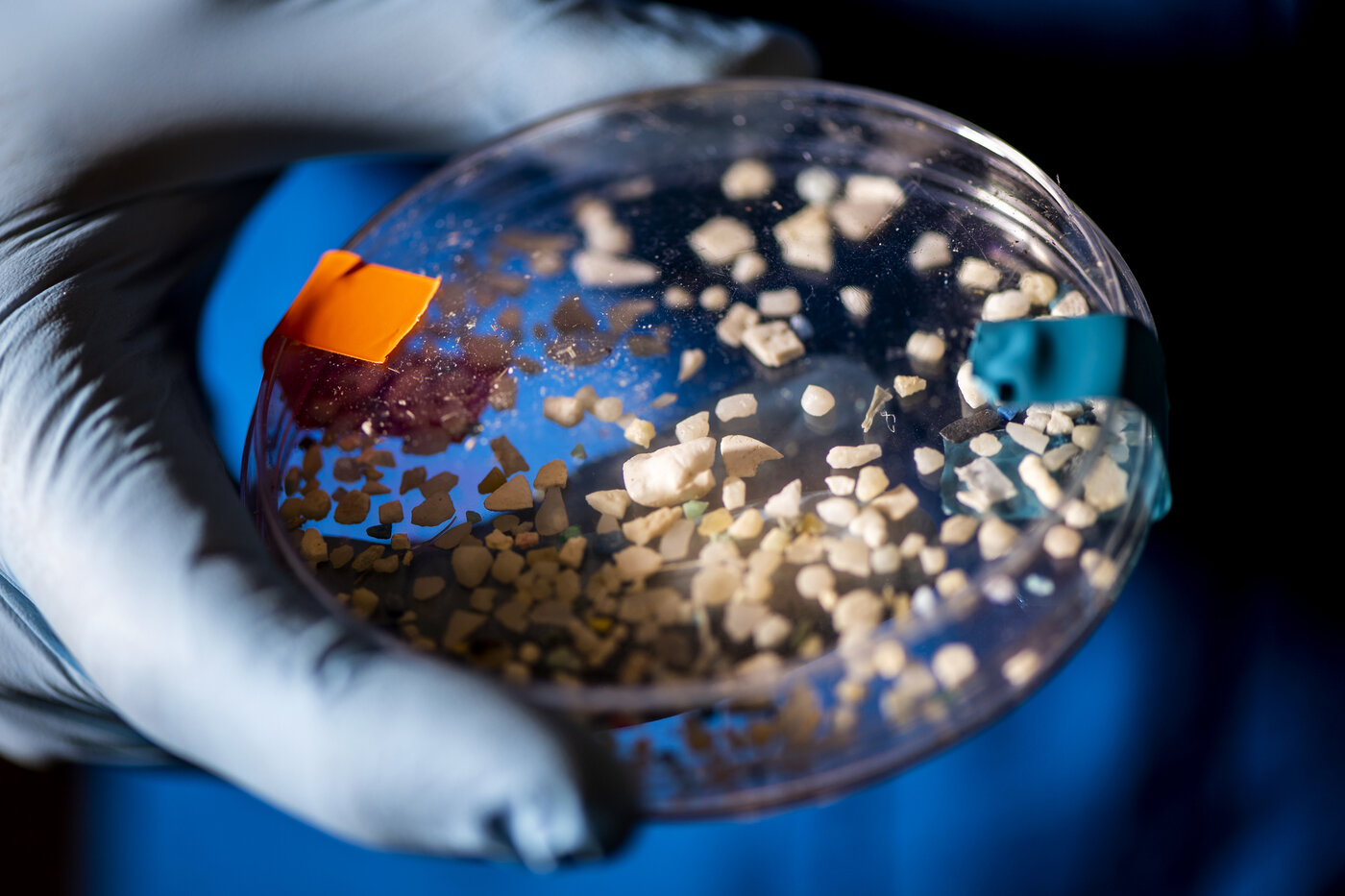 plastic-pollution-prob