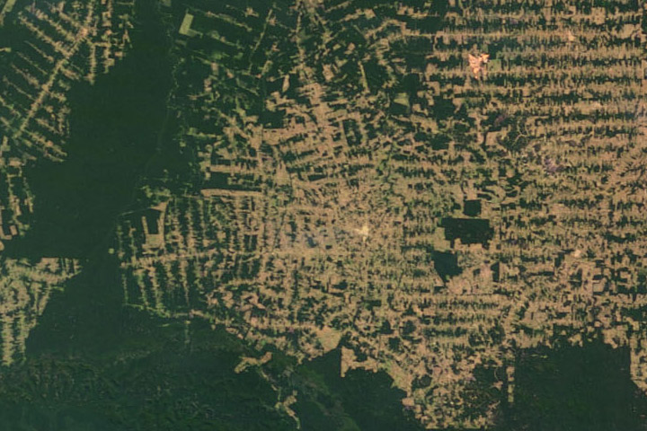 amazon_deforestation_20080729_tn