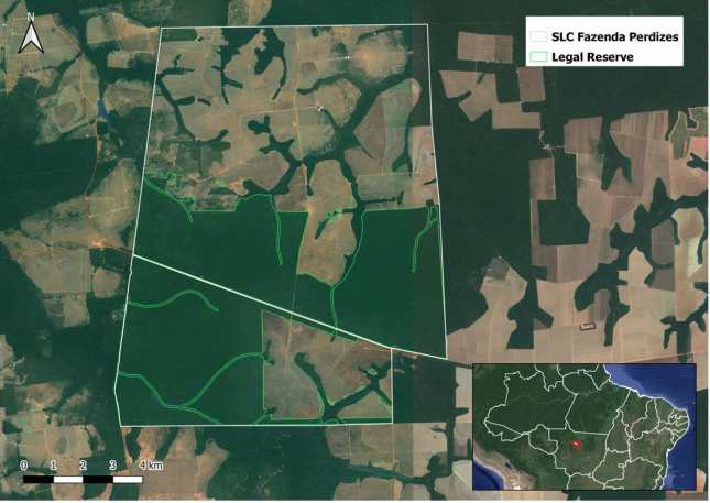 SLC-Picture1-645x457