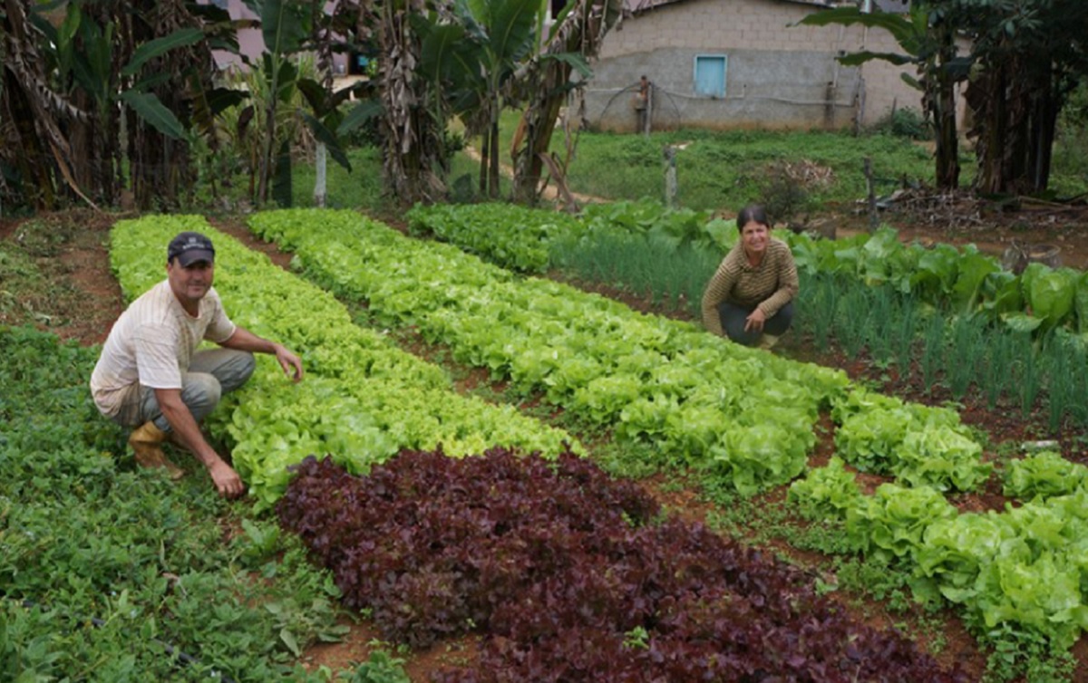 Agroecologia-espírito-santo