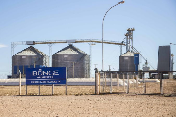 Caravana-internacional-MATOPIBA_Foto-Rosilene-Miliotti-_-FASE-scaled