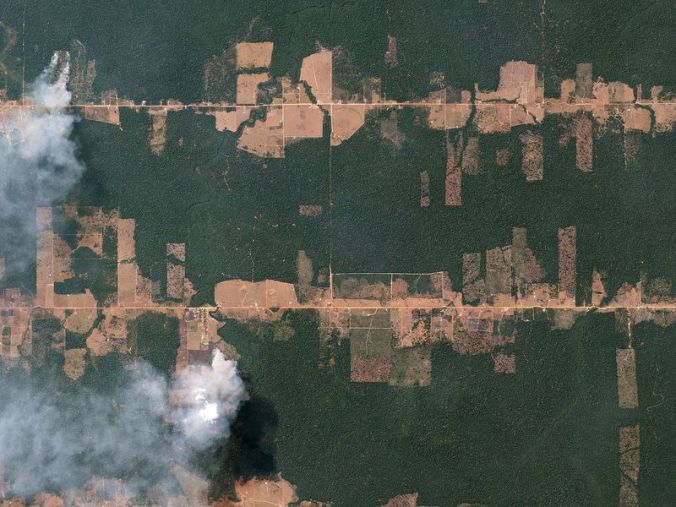 Fishbone_Deforestation__Rondônia__Brazil_by_Planet_Labs