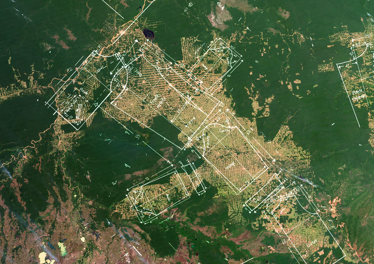 amazonia-desmatamento-couro-marcas-CAPA