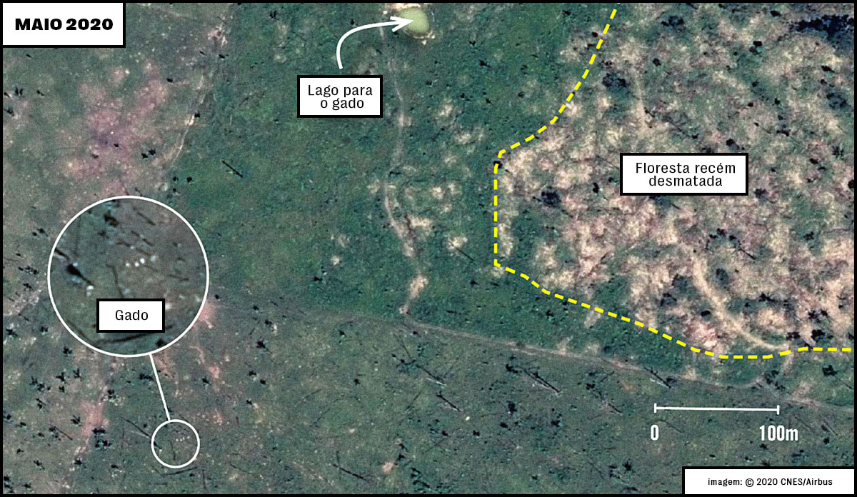 amazonia-desmatamento-couro-marcas-CORPO-1